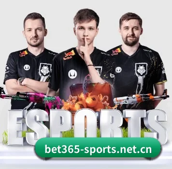 国际化进程(bet365)